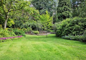 Optimiser l'expérience du jardin à La Luzerne